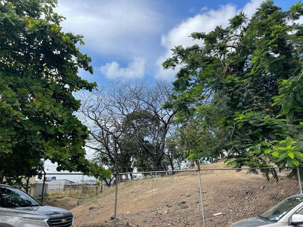 Terreno en Venta 12.194 m² - Av Juan Tanca Marengo - Av Principal, Guayaquil, Guayas — imagen 4