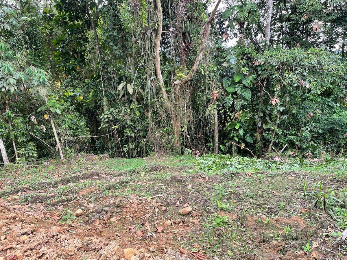 Pedro V. Maldonado Vendo Terreno Aplanado, 1000 m², Listo Para Contruir — imagen 10