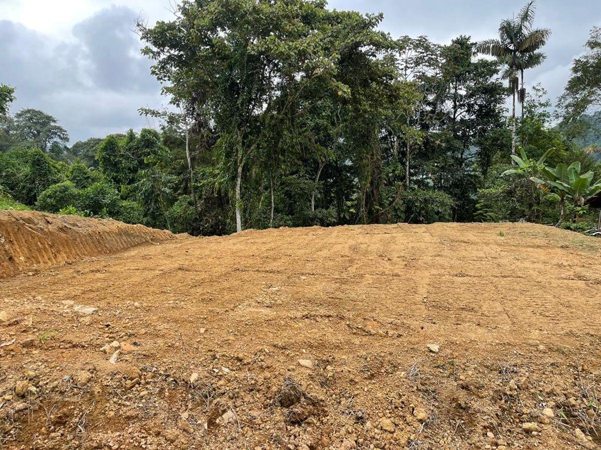 Pedro V. Maldonado Vendo Terreno Aplanado, 1000 m², Listo Para Contruir — imagen 9