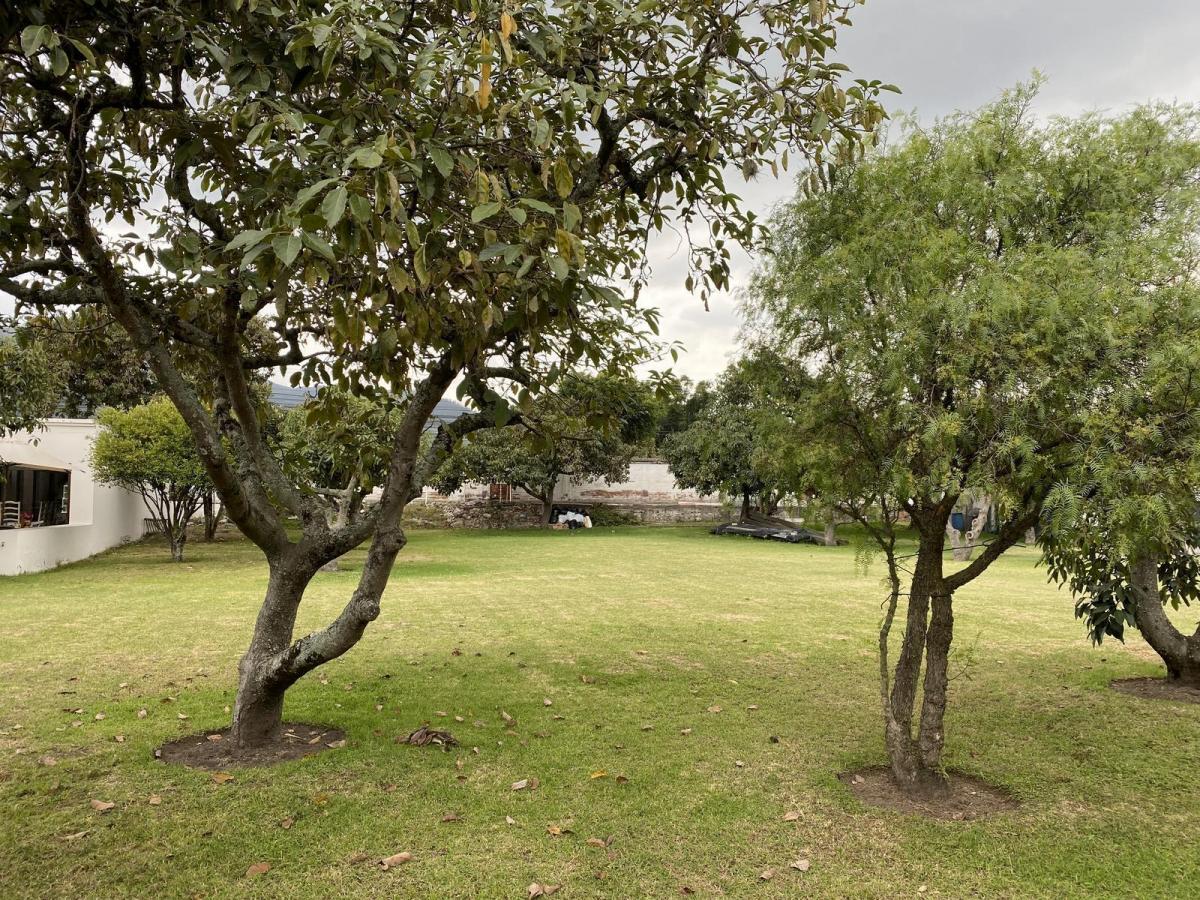 Hermoso Terreno Totalmente Plano Ubicado en La Francisco de Orellana, Sector La Viña, Dentro Urbaniz — imagen 5