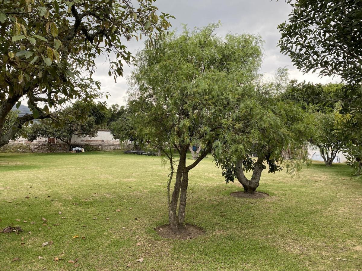 Hermoso Terreno Totalmente Plano Ubicado en La Francisco de Orellana, Sector La Viña, Dentro Urbaniz — imagen 3