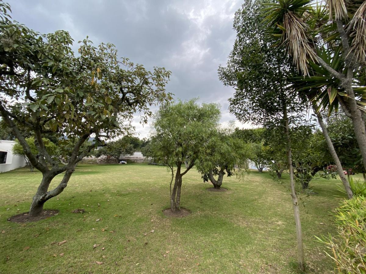 Hermoso Terreno Totalmente Plano Ubicado en La Francisco de Orellana, Sector La Viña, Dentro Urbaniz — imagen 2