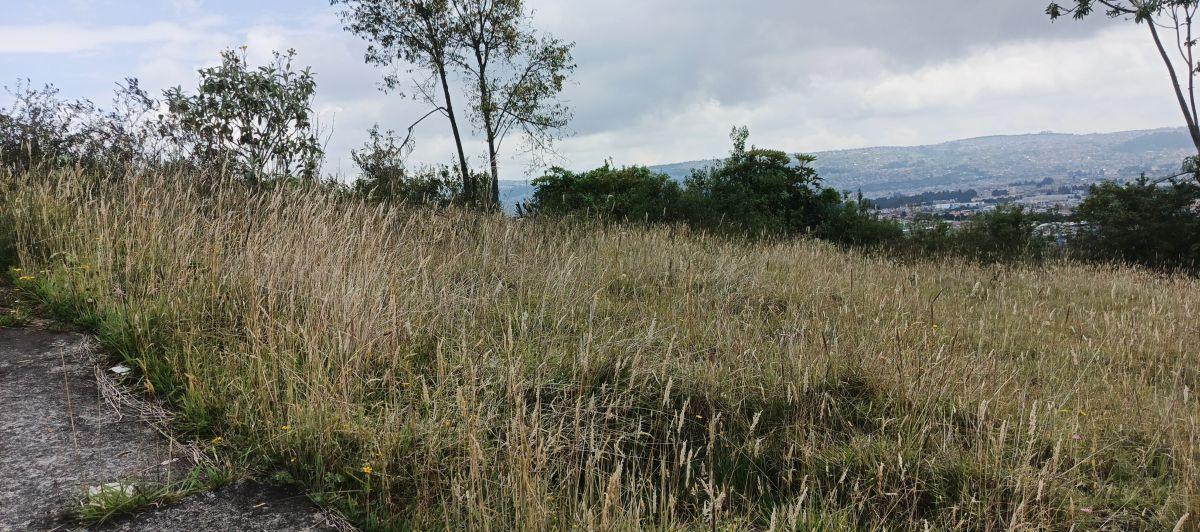 Terrenos en Venta Chillogallo — imagen 2