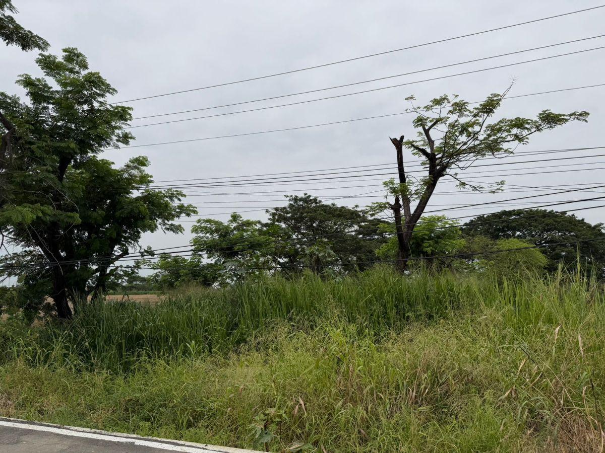 Terreno en Venta 16.400 m² - Av León Febres Cordero - La Aurora - Daule, Guayas — imagen 5