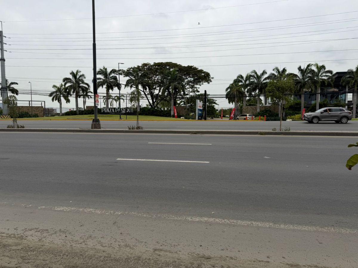 Terreno en Venta 16.400 m² - Av León Febres Cordero - La Aurora - Daule, Guayas — imagen 3