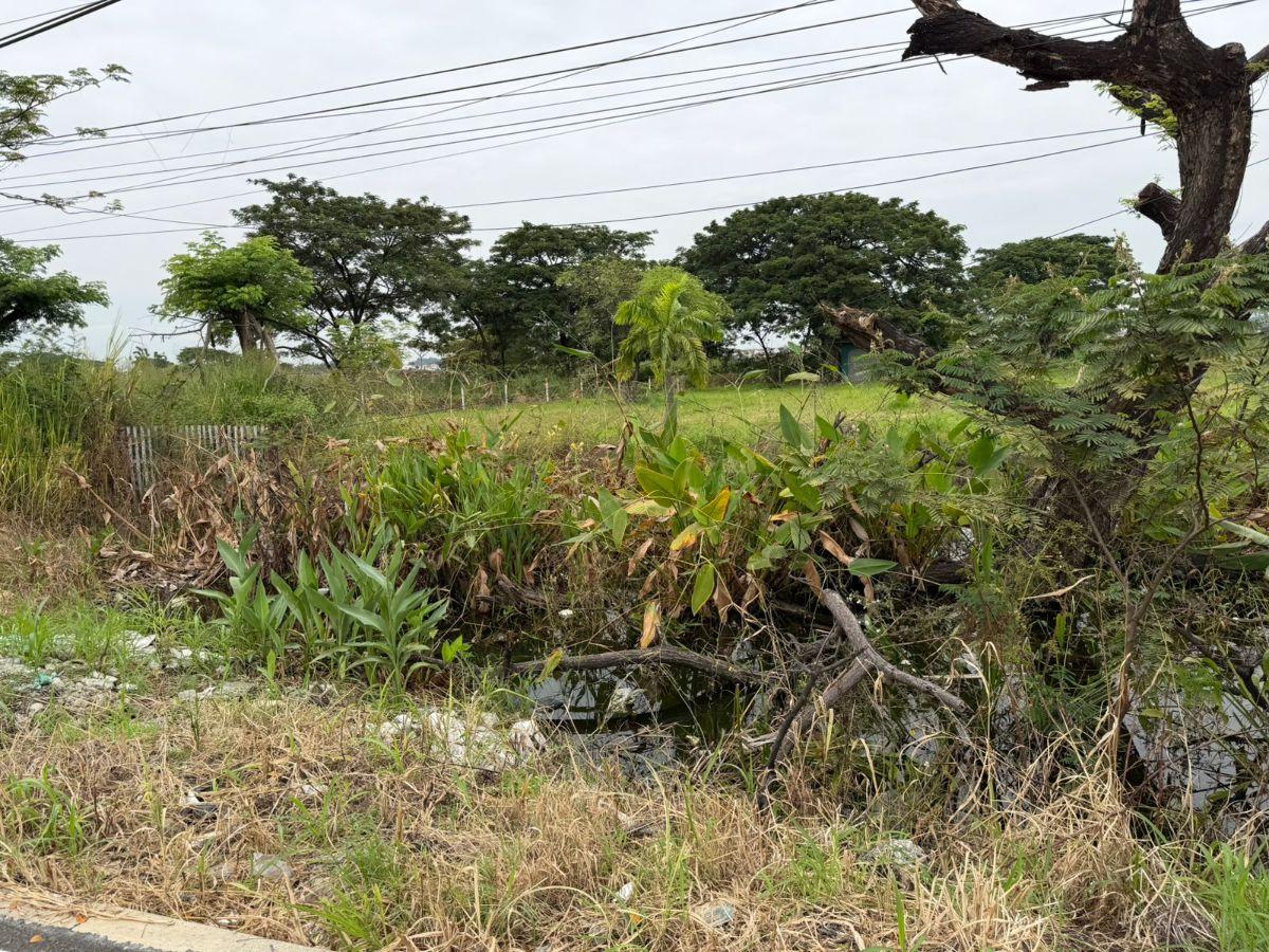 Terreno en Venta 16.400 m² - Av León Febres Cordero - La Aurora - Daule, Guayas — imagen 2