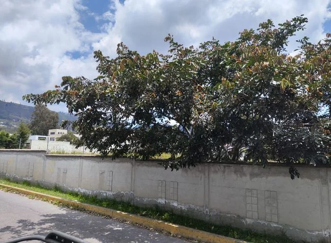 Terreno en venta en Lumbisí — imagen 2