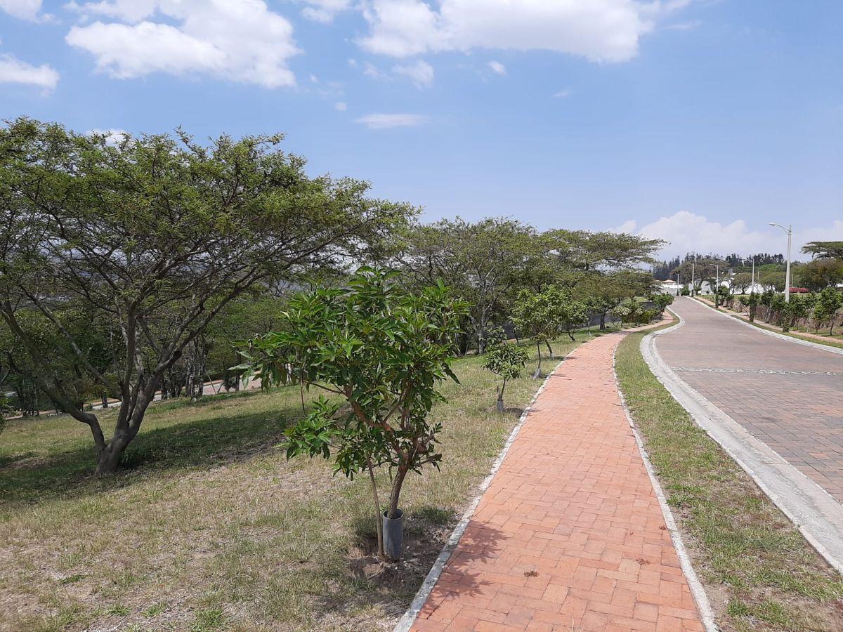 Lindo Terreno en Urbanización Exclusiva — imagen 10