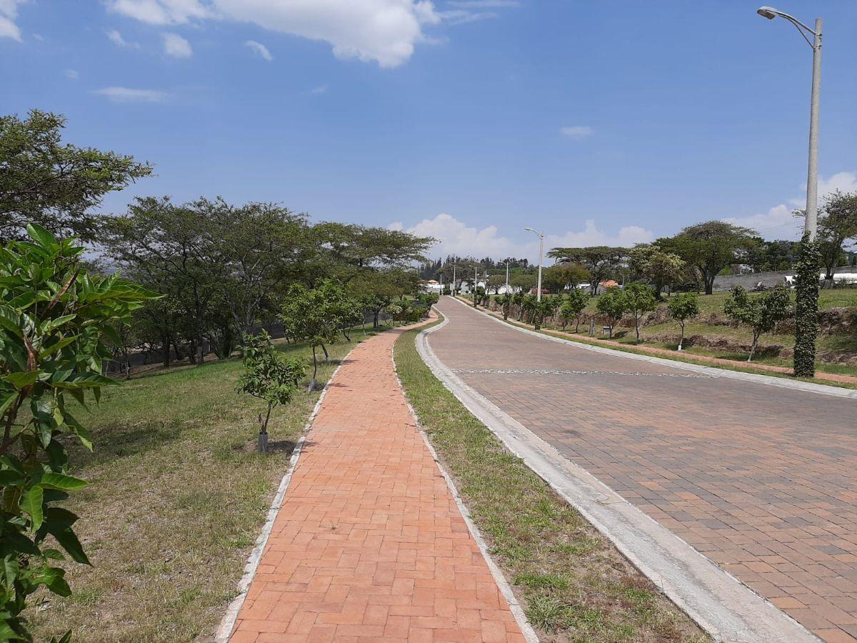 Lindo Terreno en Urbanización Exclusiva — imagen 9