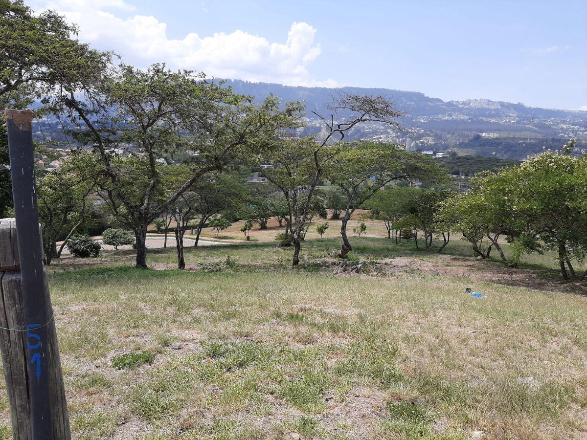 Lindo Terreno en Urbanización Exclusiva — imagen 8