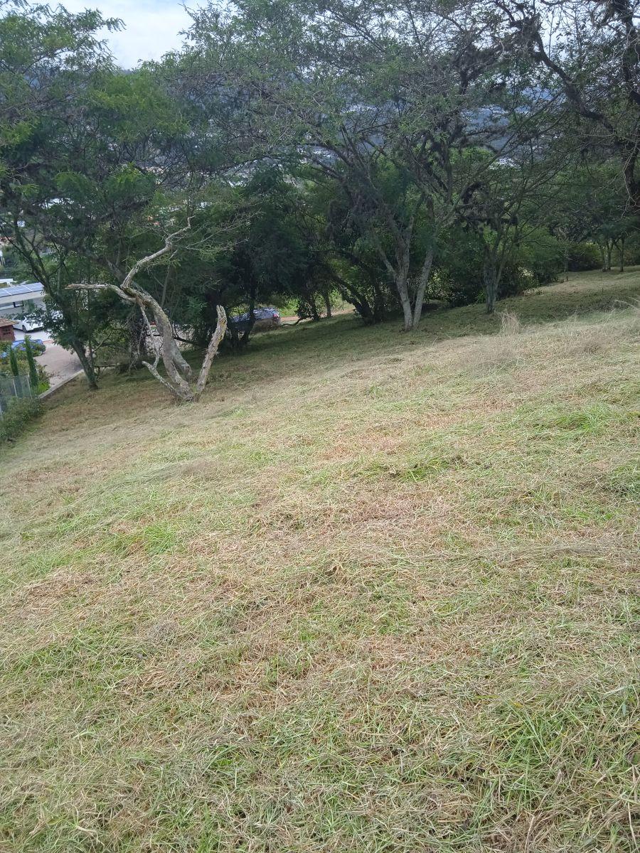 Lindo Terreno en Urbanización Exclusiva — imagen 7