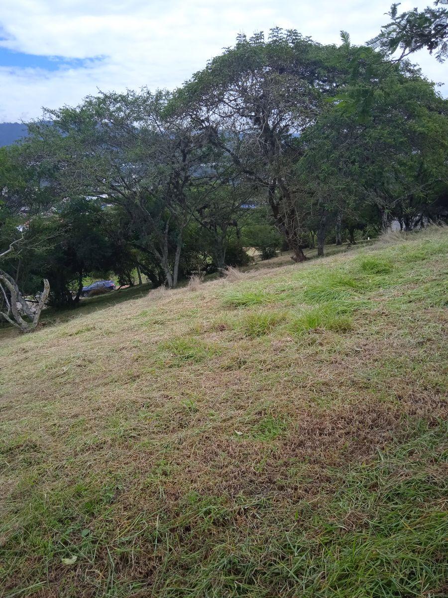 Lindo Terreno en Urbanización Exclusiva — imagen 6