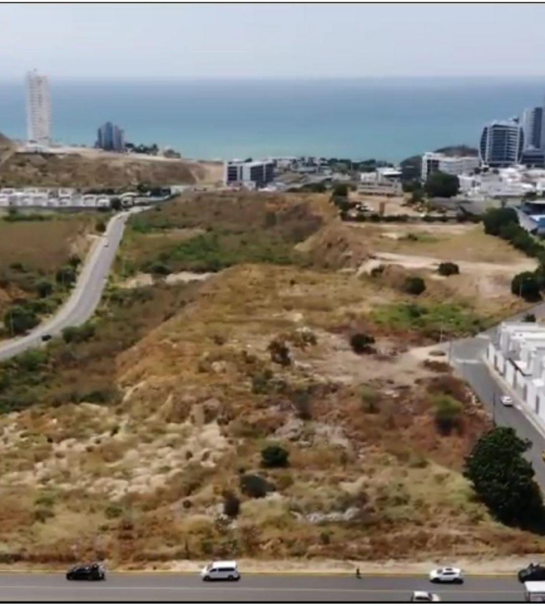 Venta de Terreno en Sector Barbasquillo - R. Sánchez, Manabí — imagen 9