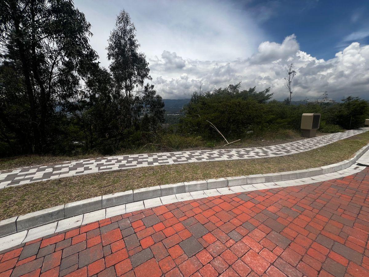 Vendo, Terreno de 1100 m² en Urbanización Exclusiva en Tumbaco — imagen 6