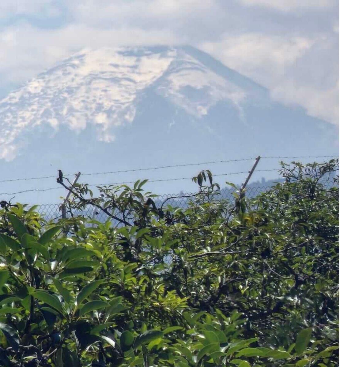 Vendo Terrenos Urbanización Privada Puembo — imagen 10