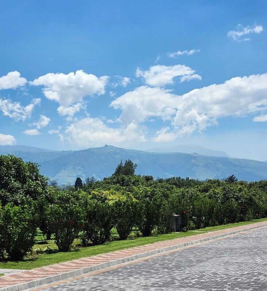 Vendo Terrenos Urbanización Privada Puembo — imagen 6