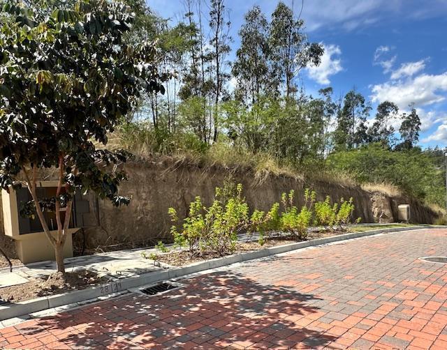 Vendo 2 Terrenos en Urbanización Privada, Sector Collaqui - Tumbaco — imagen 7