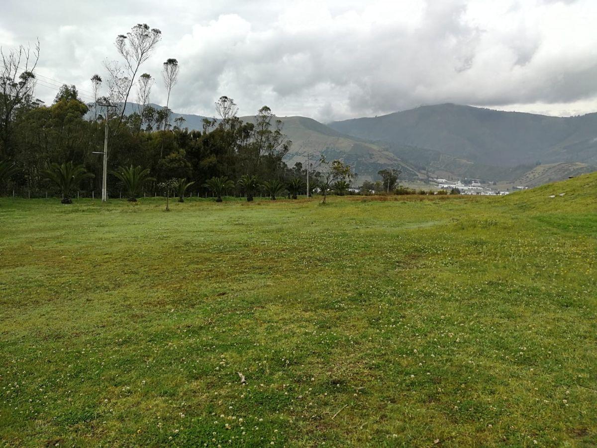 Venta Terreno Calacali 29.9 Has. Incluye 8 Has Planas. Estudio Fotovoltaico — imagen 7
