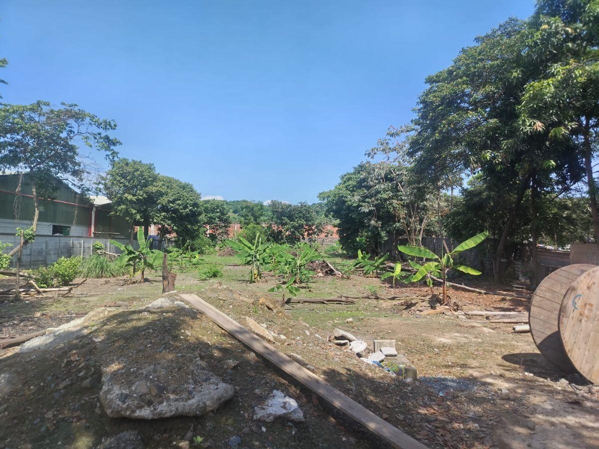 Venta Terreno Via a Daule Ubicación Privilegiada, Guayas — imagen 9