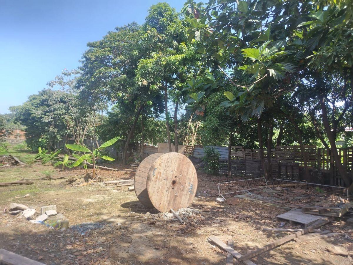 Venta Terreno Via a Daule Ubicación Privilegiada, Guayas — imagen 8