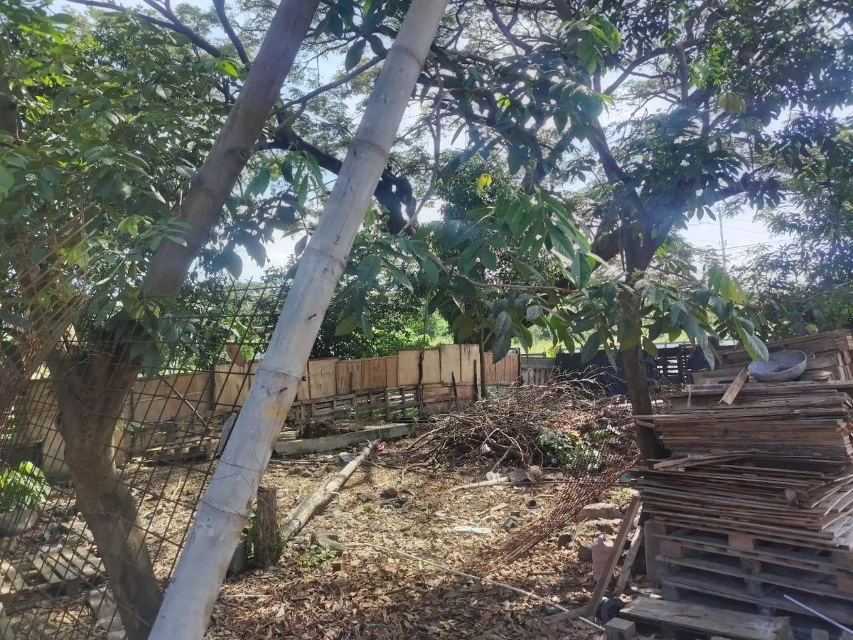 Venta Terreno Via a Daule Ubicación Privilegiada, Guayas — imagen 7