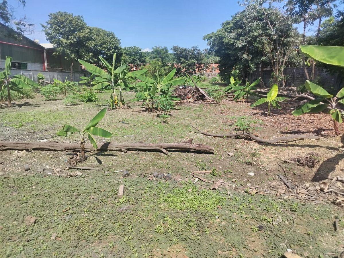 Venta Terreno Via a Daule Ubicación Privilegiada, Guayas — imagen 6