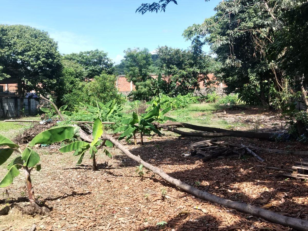 Venta Terreno Via a Daule Ubicación Privilegiada, Guayas — imagen 3