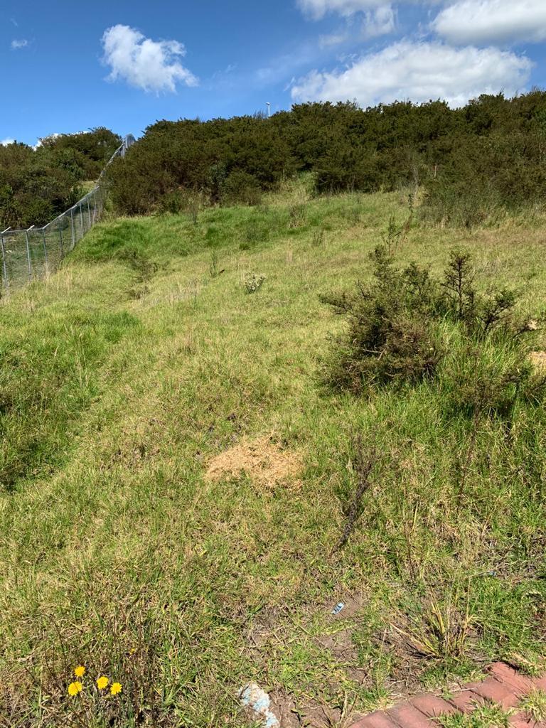 Terreno de 550 m² en Venta en San Rafael Urb Privada — imagen 3