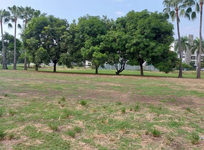 Terreno en venta en Samborondon — imagen 2