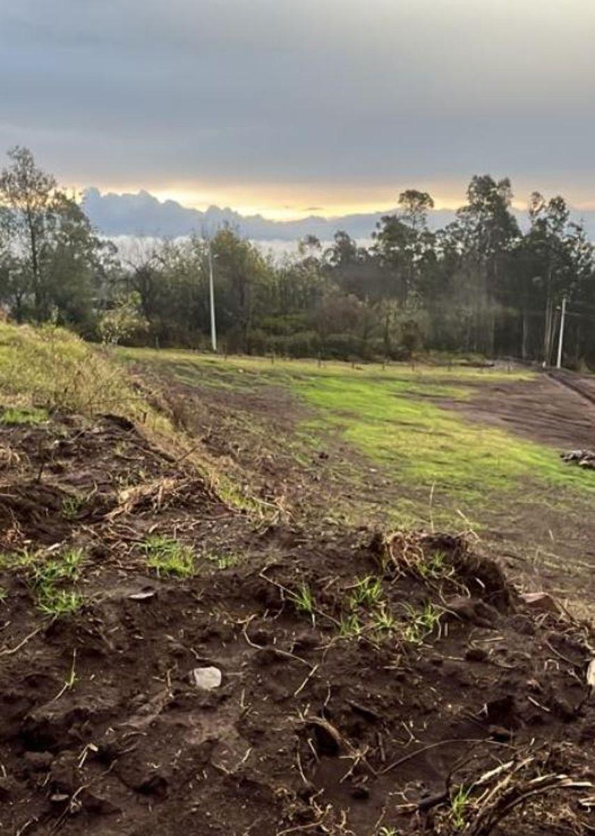 Terrenos de Venta en Urbanización Panorama — imagen 5