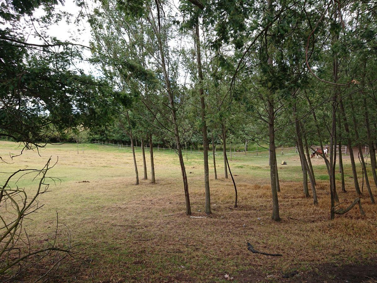 Vendo Terreno de 27000 m con Casa 240 m en Pifo — imagen 10