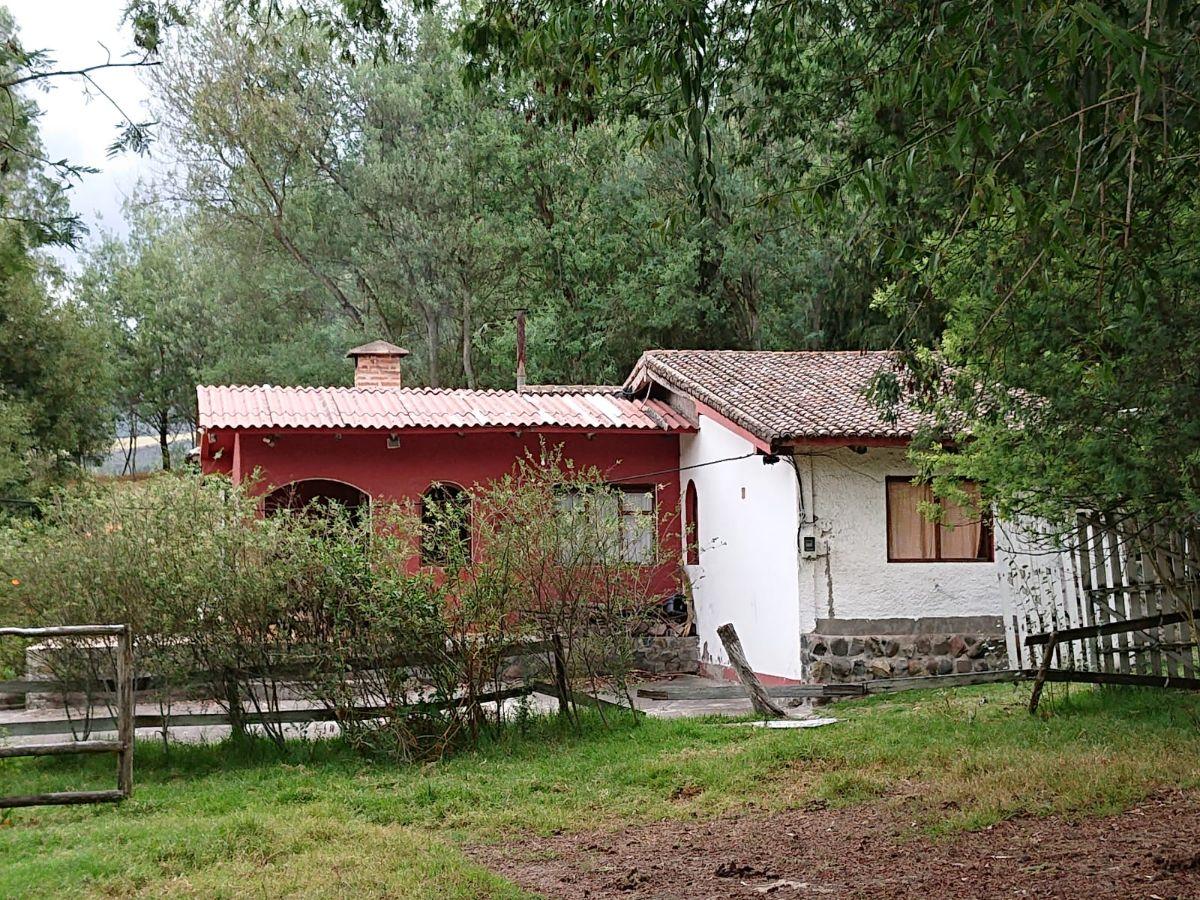 Vendo Terreno de 27000 m con Casa 240 m en Pifo — imagen 7