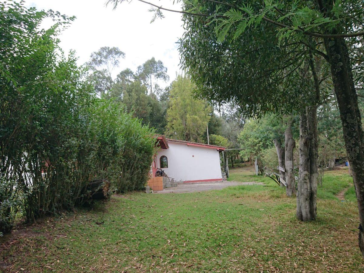 Vendo Terreno de 27000 m con Casa 240 m en Pifo — imagen 6