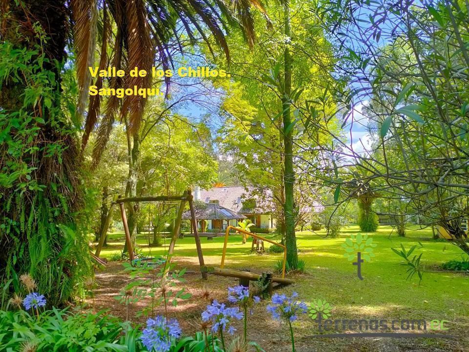 Venta de Terreno Sangolquí de 16.815 m², Lote Mínimo 300 m². Provincia de Pichincha — imagen 6