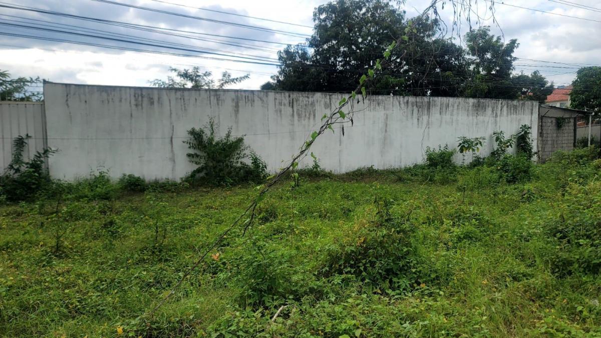 Terreno de 70500 m² en Venta en Vía a La Costa - Km 20 - Mae. Recalde, Guayas — imagen 8