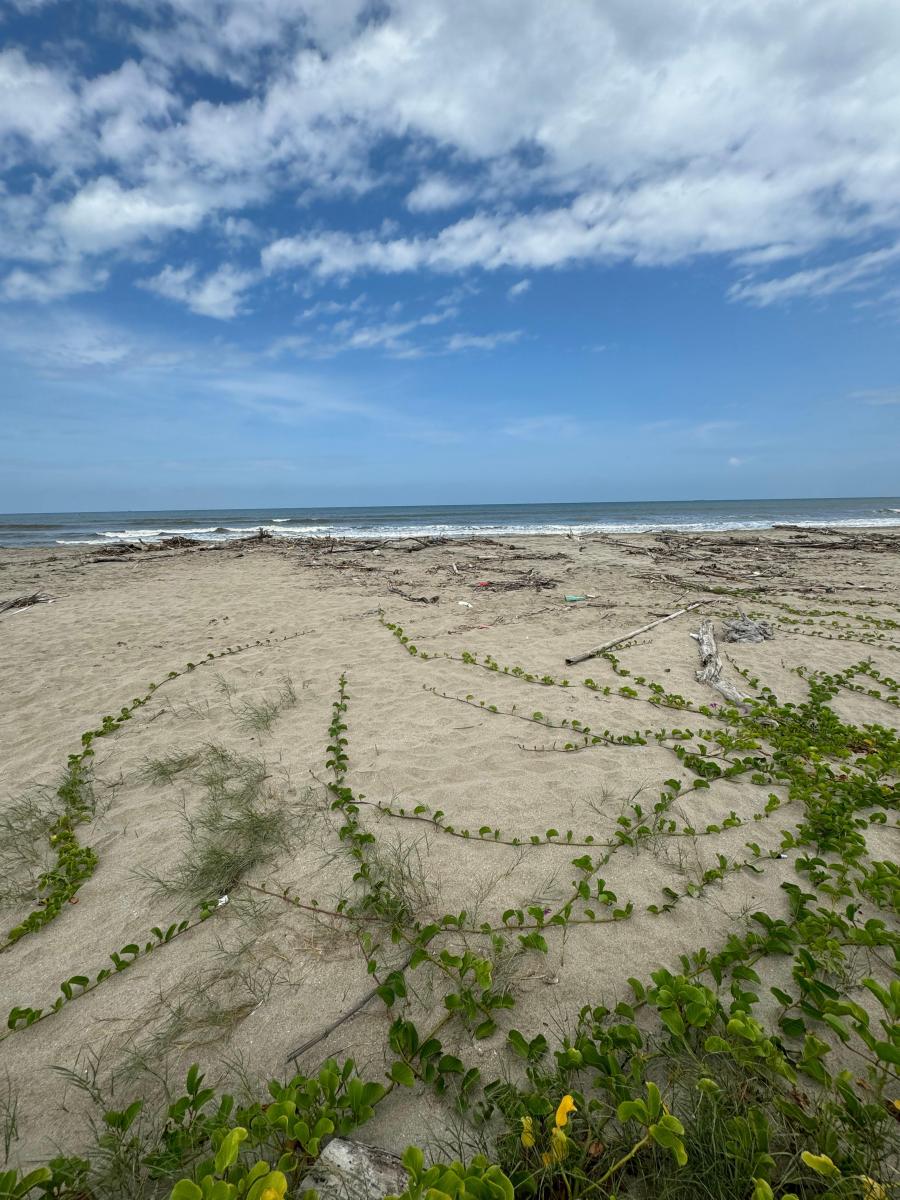 Terreno Al Pie del Mar en Venta en Playas, Guayas — imagen 9