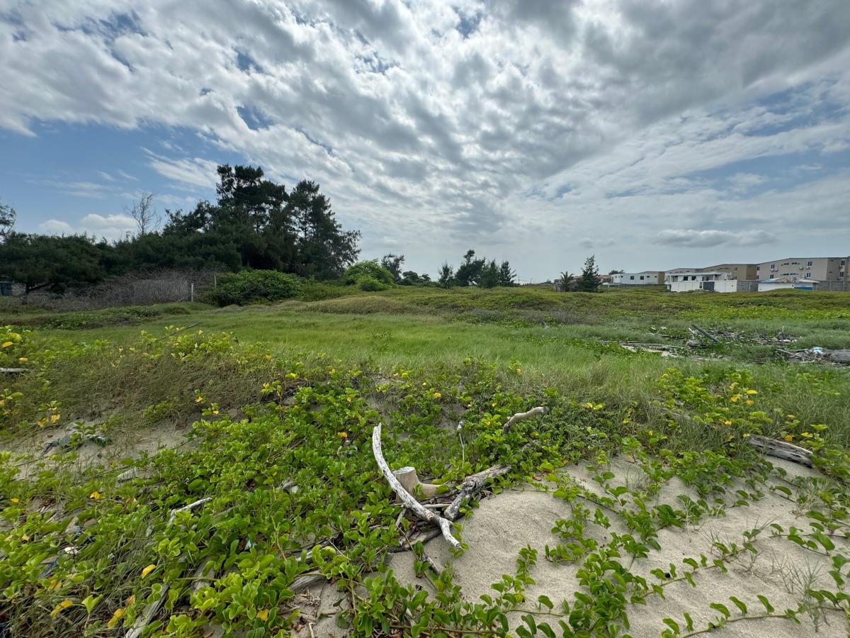 Terreno Al Pie del Mar en Venta en Playas, Guayas — imagen 7