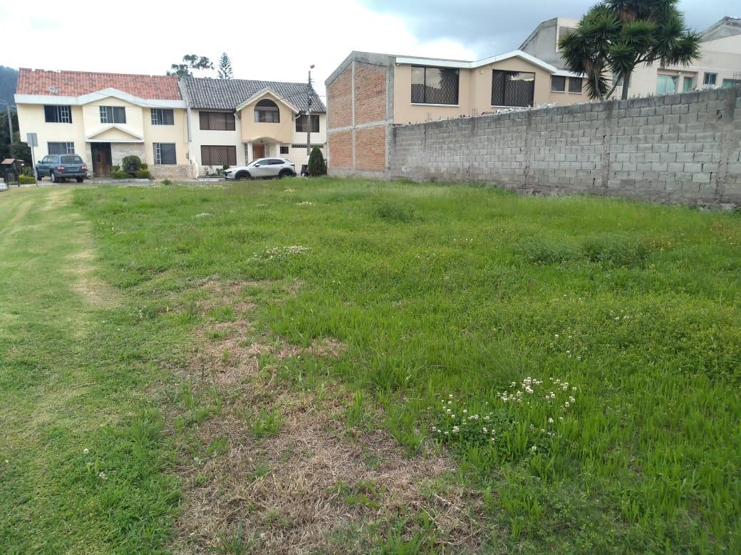 La Armenia, Terreno en Venta, 352 m² — imagen 2