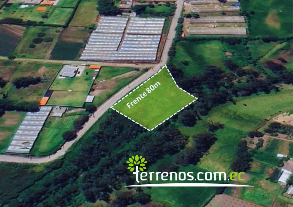 Terreno de 2.459,63 m², La Esperanza, El Quinche — imagen 10