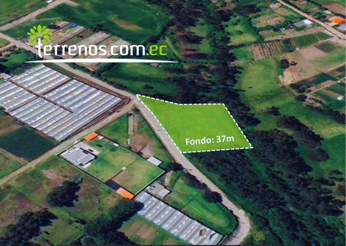 Terreno de 2.459,63 m², La Esperanza, El Quinche — imagen 9