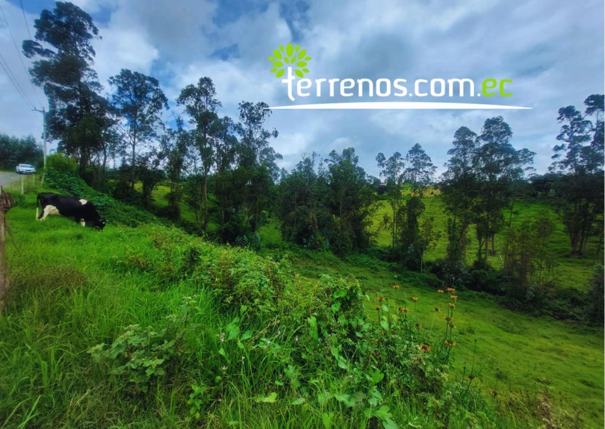 Terreno de 2.459,63 m², La Esperanza, El Quinche — imagen 8