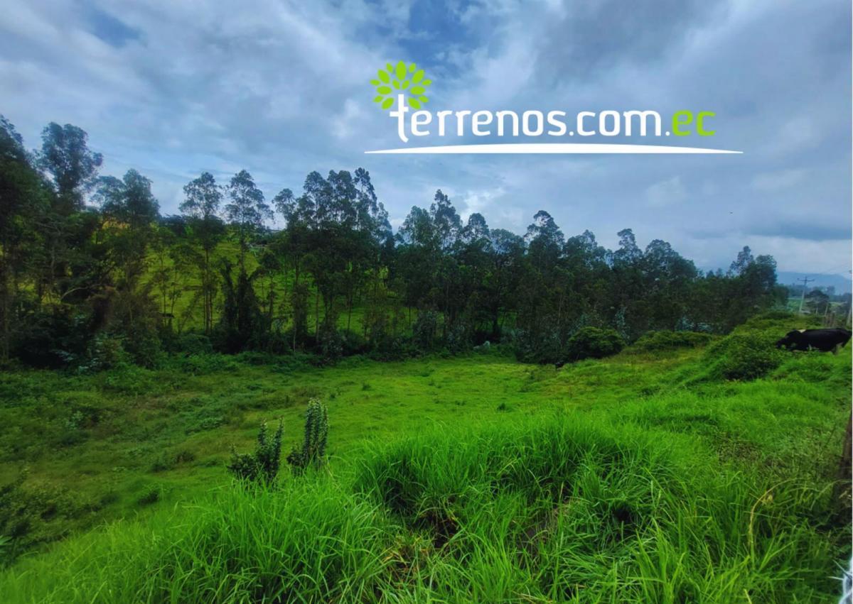 Terreno de 2.459,63 m², La Esperanza, El Quinche — imagen 7