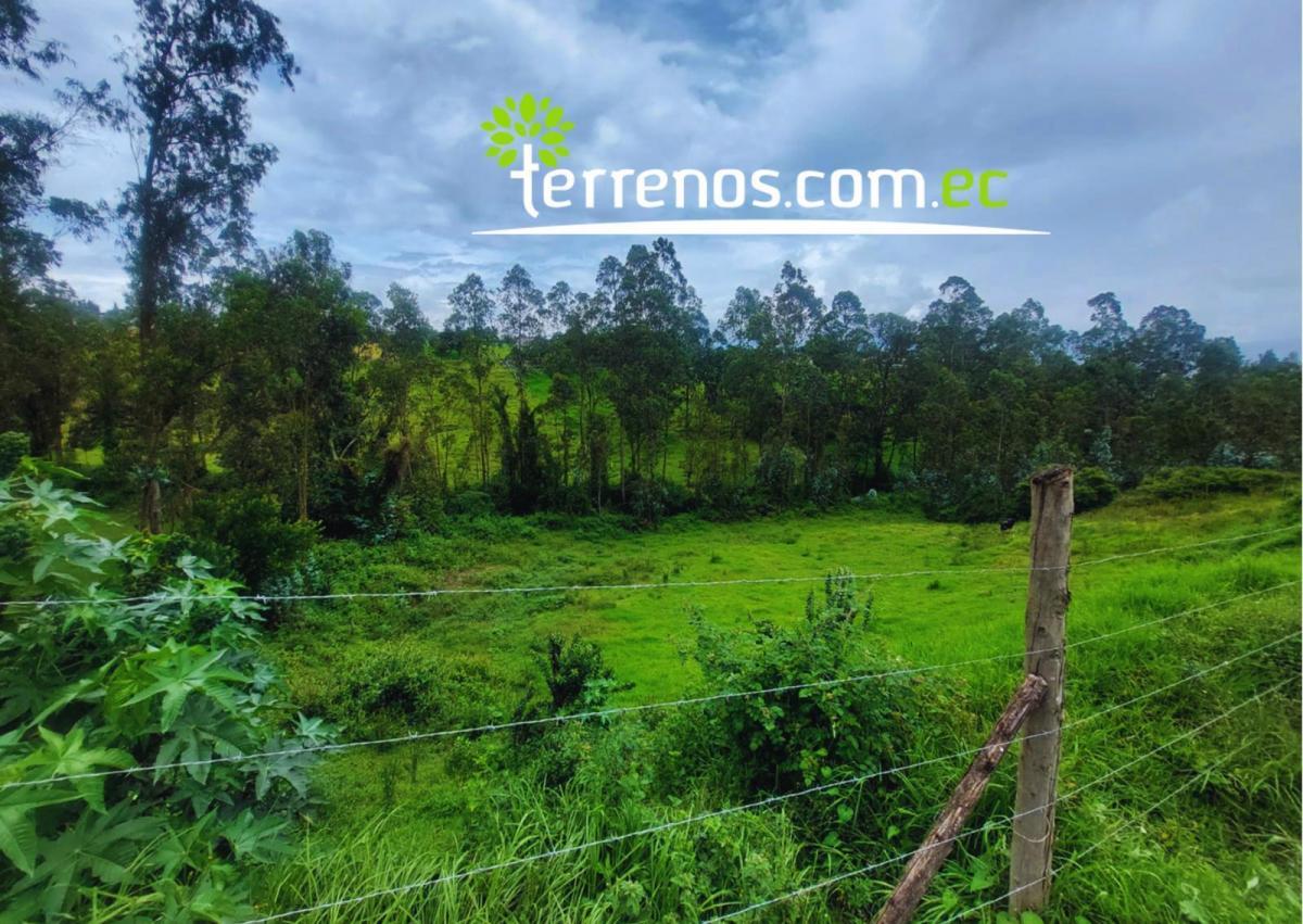 Terreno de 2.459,63 m², La Esperanza, El Quinche — imagen 6
