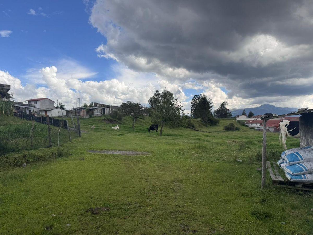 Vendo Terreno 17900 m² en Alangasi - Valle de Los Chillos — imagen 6