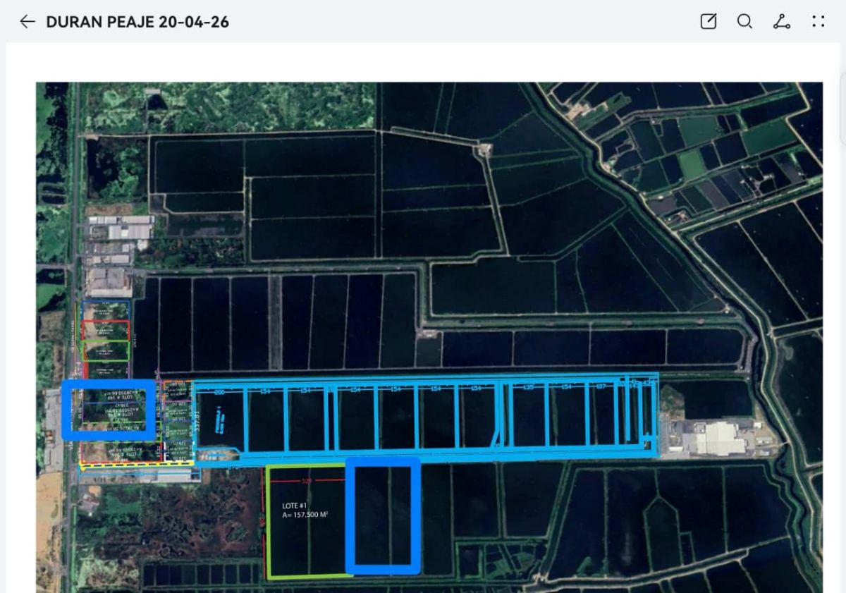 Terreno en Venta 13 Hectáreas - 130.000 m² - Vía Durán Tambo Km 10, Guayas — imagen 5