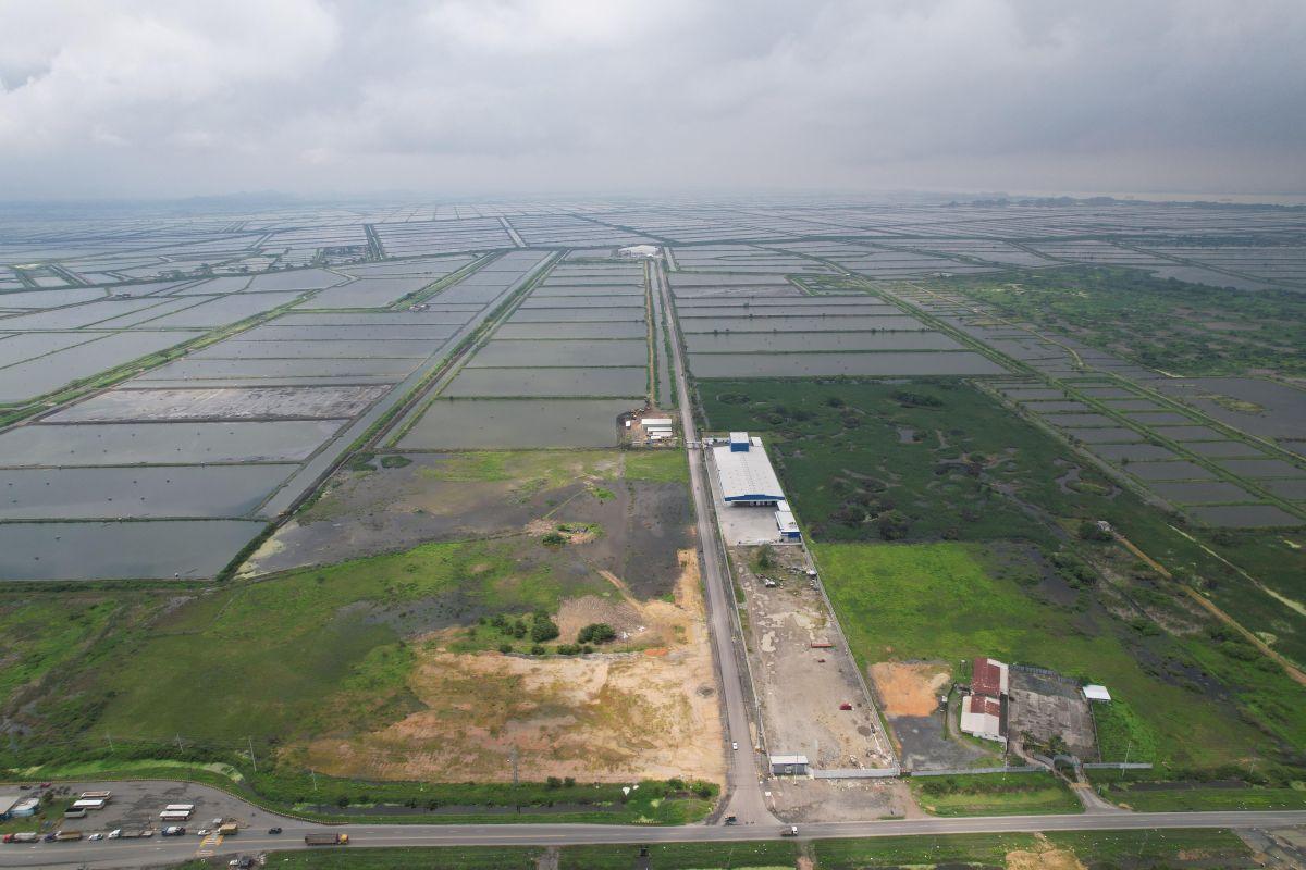 Terreno en Venta 13 Hectáreas - 130.000 m² - Vía Durán Tambo Km 10, Guayas — imagen 2