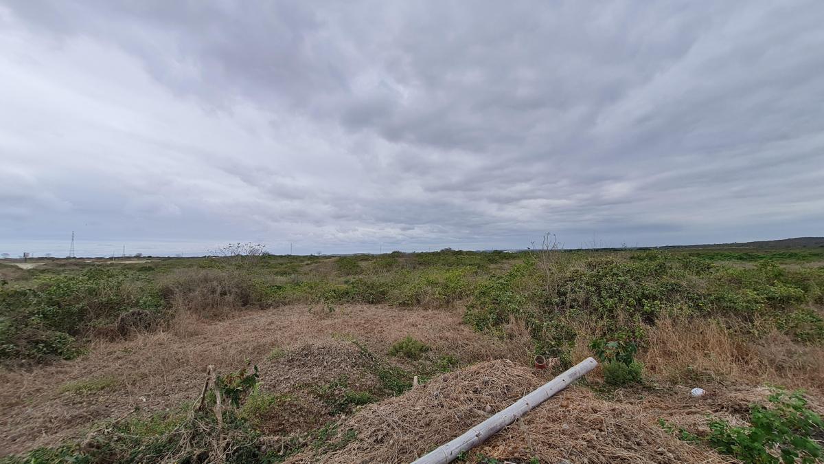 Terreno en Venta de 9.5 Hectáreas - Km. 5 Entrada a Santa Elena — imagen 5