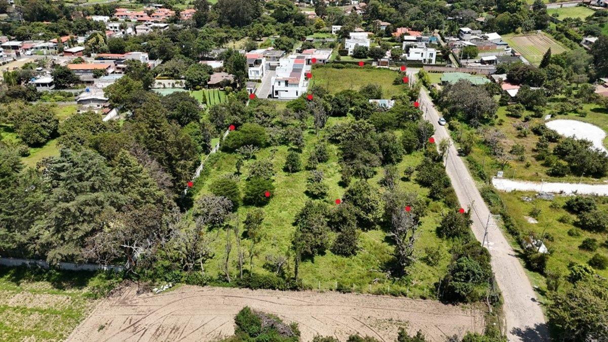 Terreno en Venta Tumbaco 10.000 m² Ideal Proyecto — imagen 5