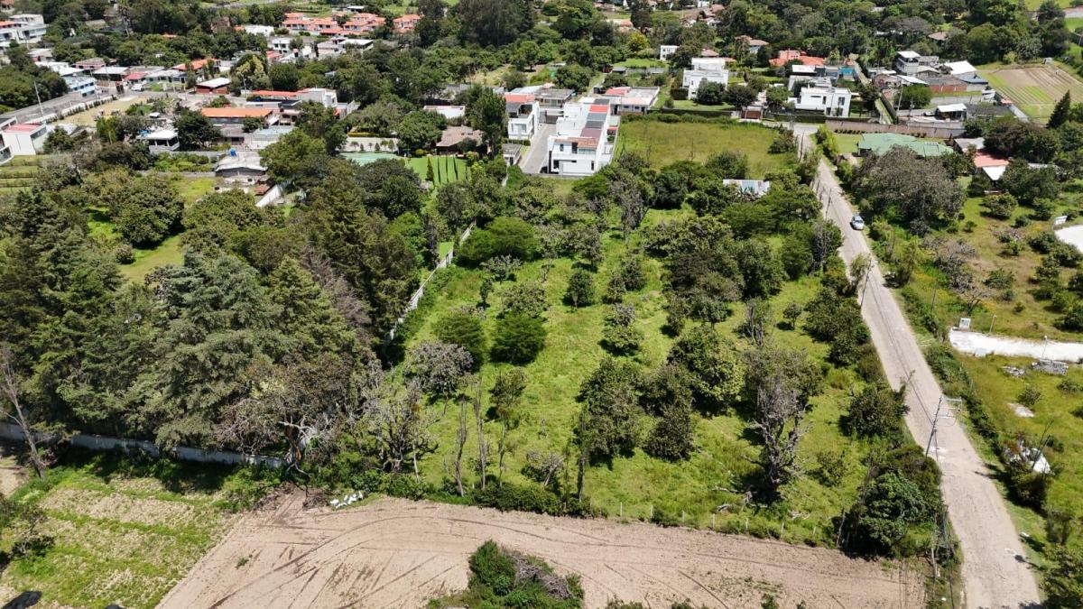 Terreno en Venta Tumbaco 10.000 m² Ideal Proyecto — imagen 4