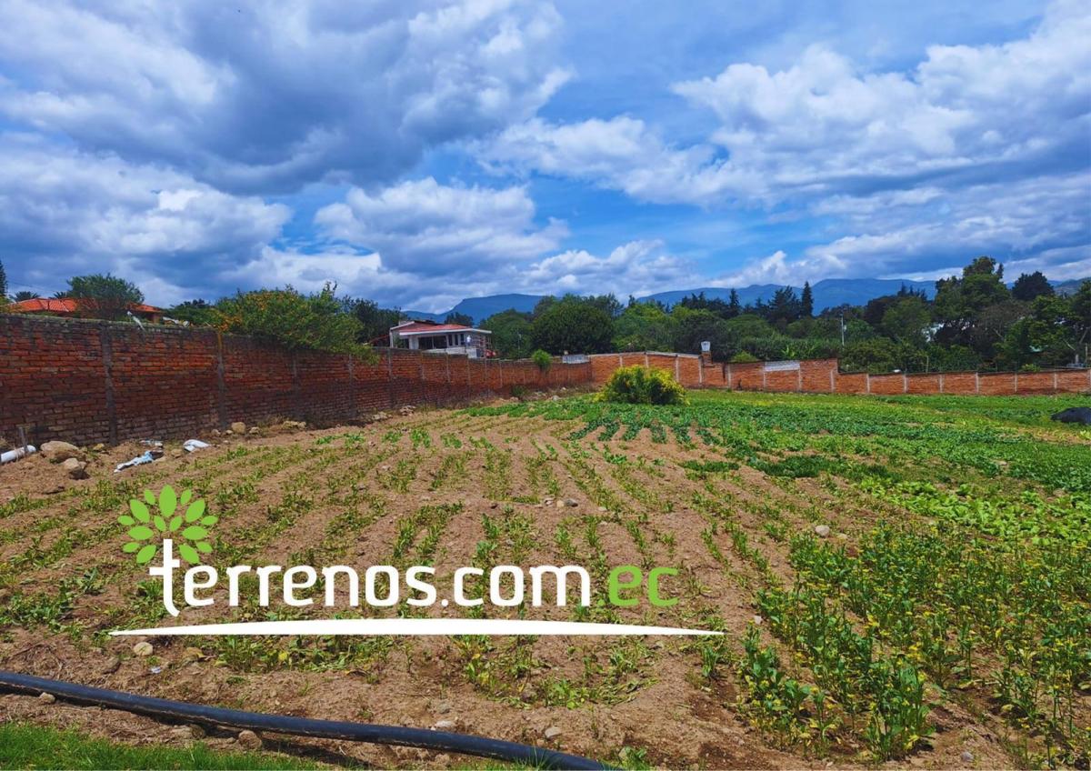 Terreno Independiente de Venta de 4.250 m² Tumbaco — imagen 6